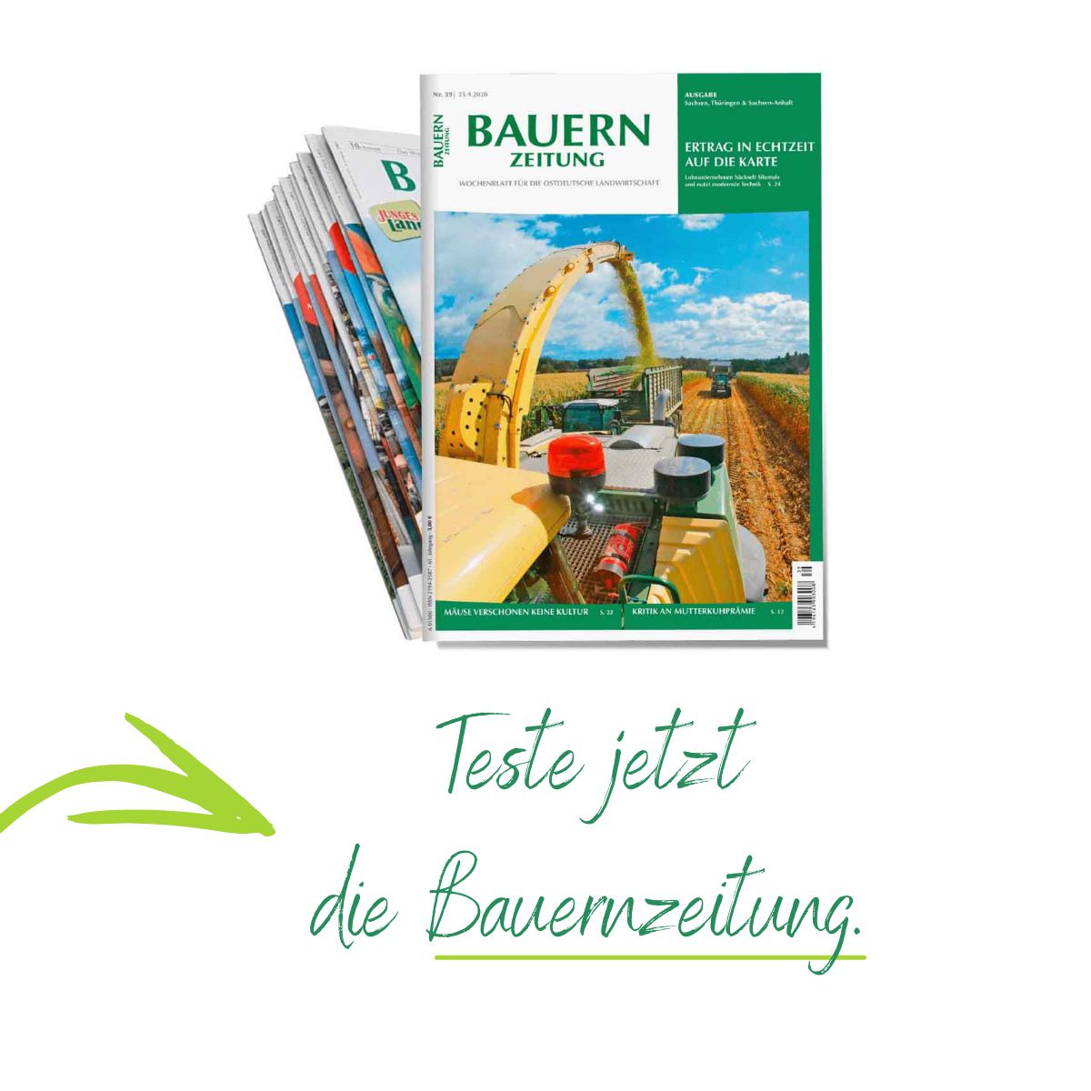 Odoo-Bild- und -Textbaustein