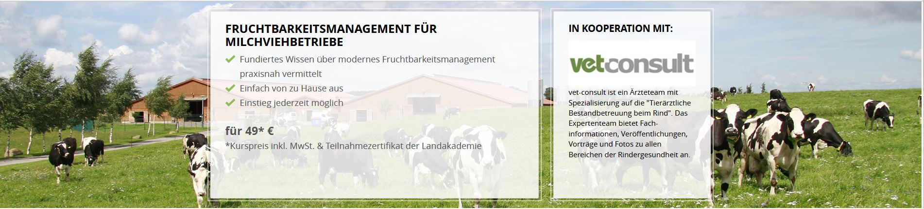 Odoo CMS – ein umfassendes Bild
