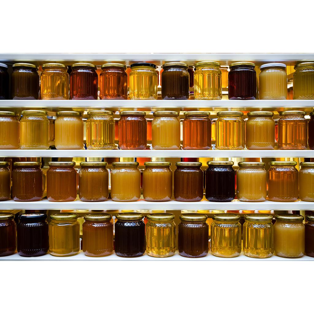 Seminar Wie viel sollte mein Honig kosten?